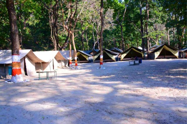 Riverside camping in shivpuri 